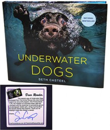 underwaterdogs-plate