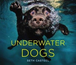 underwater-dogs
